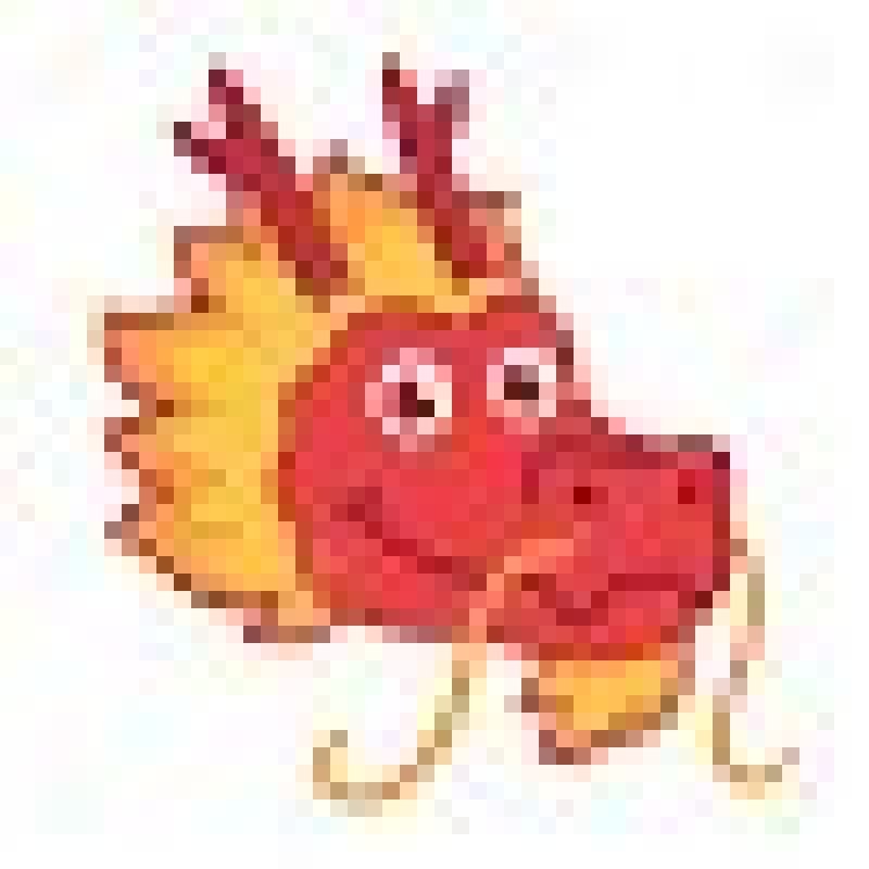 دليل الأعضاء