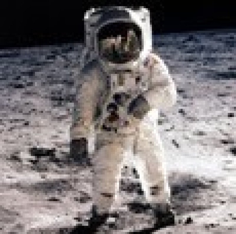 دليل الأعضاء