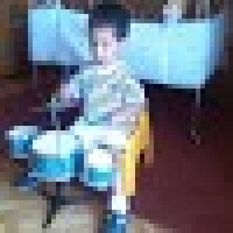 دليل الأعضاء