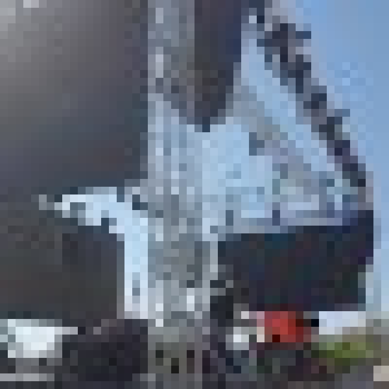 دليل الأعضاء