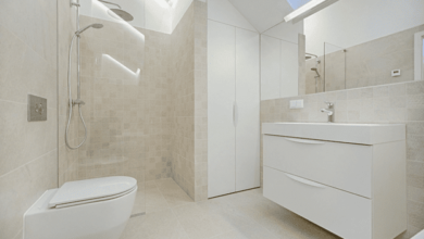 Turn your bathroom to a decline: what you deserve, every day