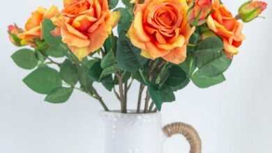 Why silk roses is the best choice for long -term beauty