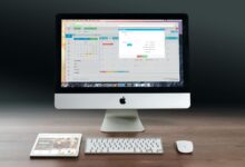 Government management program for government budget solutions