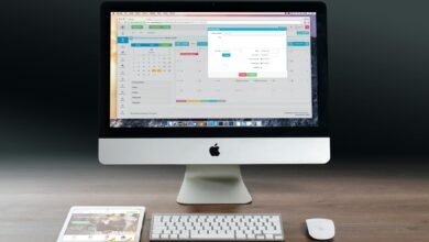 Government management program for government budget solutions